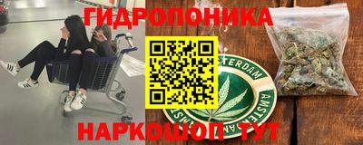 трава Лесосибирск