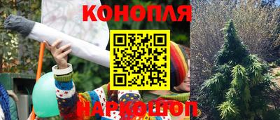 трава Лесосибирск