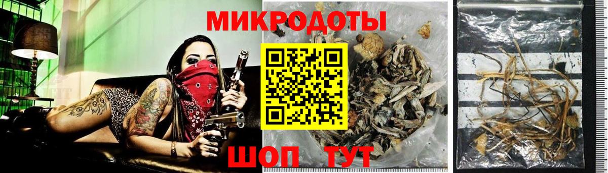 купить наркоту  Псилоцибиновые грибы мухоморы  Вход с VPN  Псилоцибиновые грибы Psilocybine cubensis  Шали 